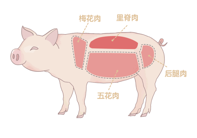 爱游戏（ayx）中国官方网站