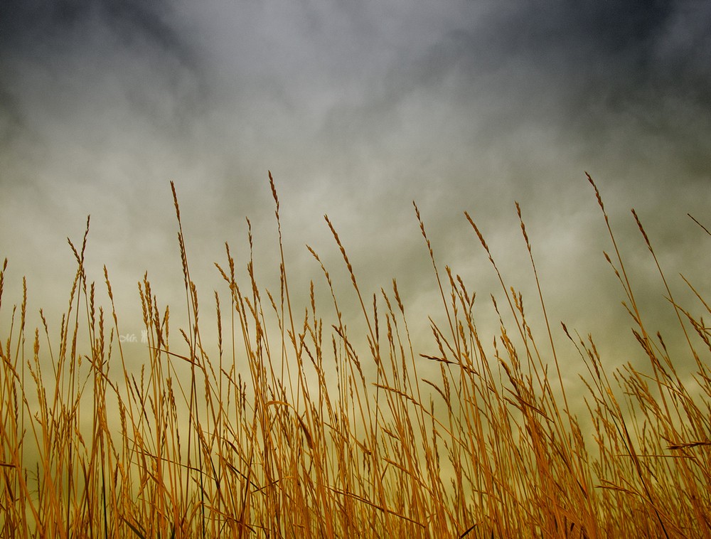 爱游戏（ayx）中国官方网站