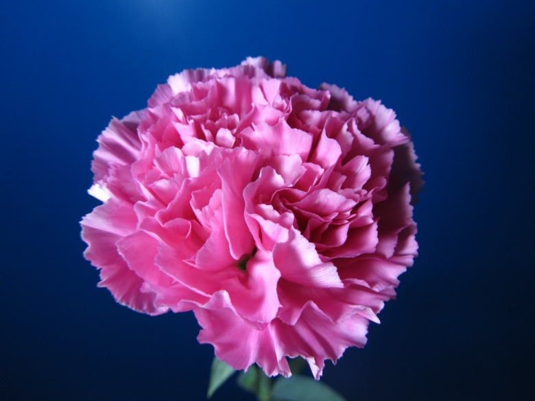 甘肃省兰州职业技术学院“对接”企业共建职教-ayx官方网站(图2) ayx官方网站