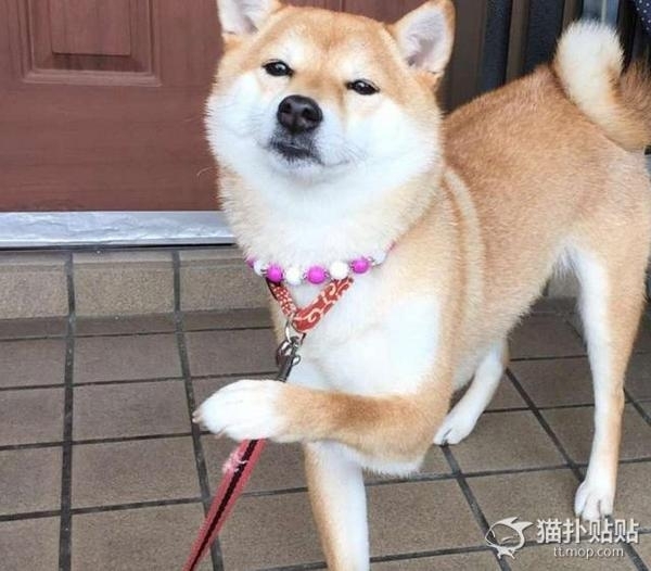 爱游戏（ayx）中国官方网站