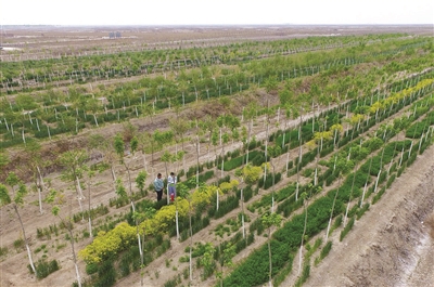 爱游戏（ayx）中国官方网站