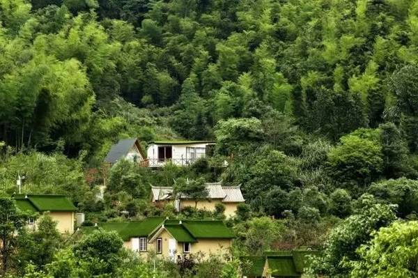 爱游戏（ayx）中国官方网站