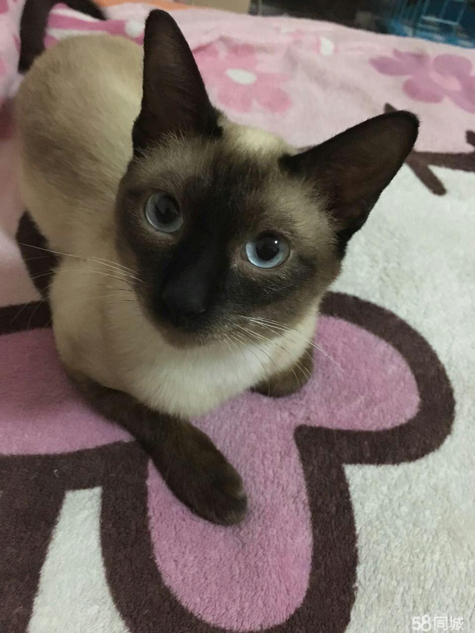 ayx官方网站