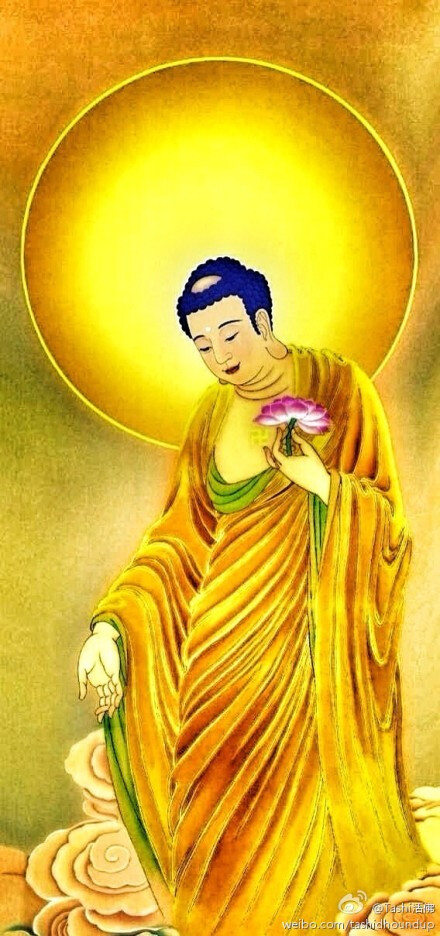 ayx官网