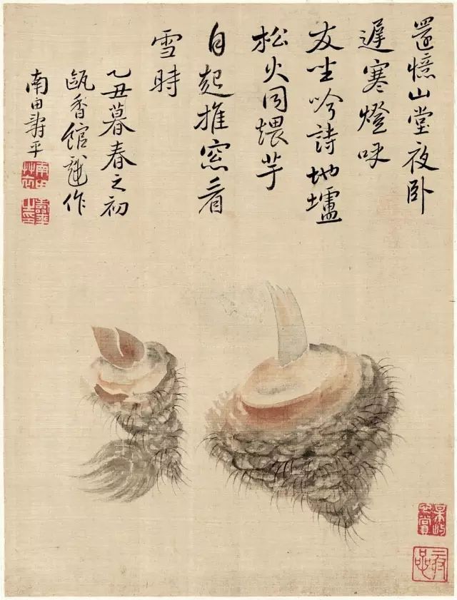 ayx官方网站